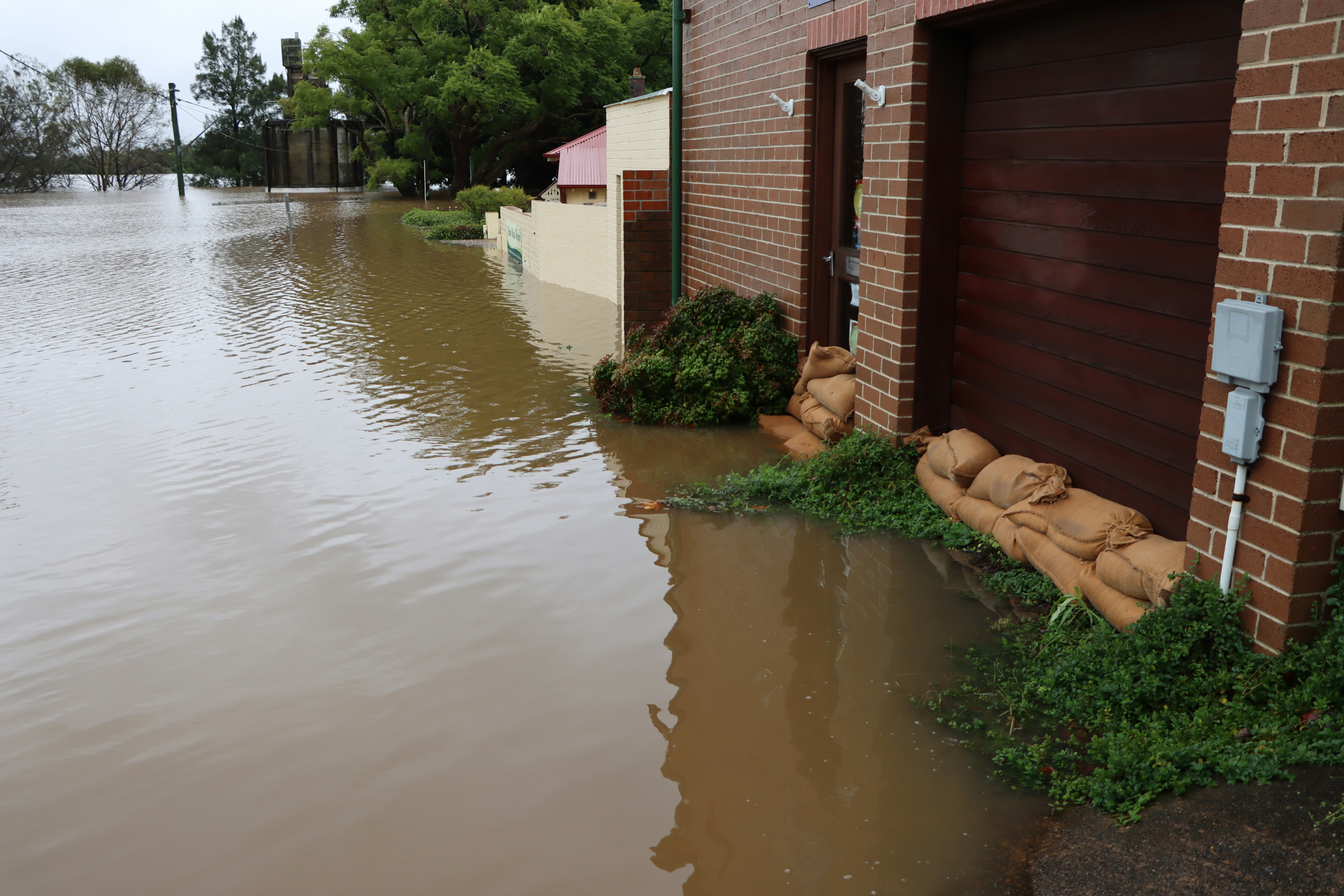 Flooded Basement in Charlotte? Restoration Tips from Best Option Restoration