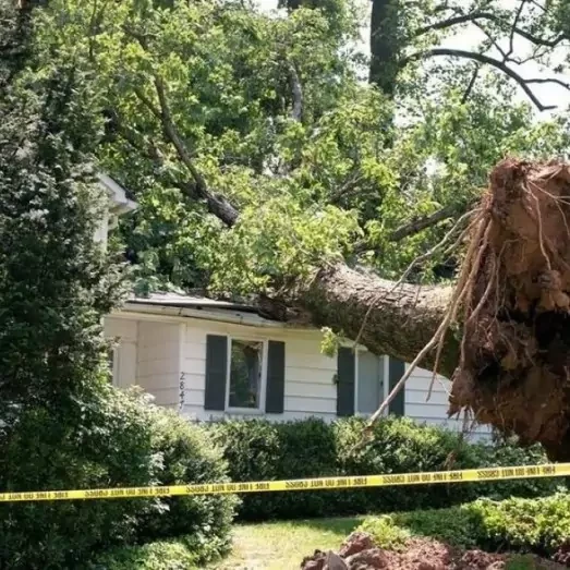 Storm & Wind Damage Repair Services in Charlotte, NC